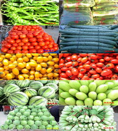 从马路市场到现代物流园 构筑市民餐桌上的食品安全防线