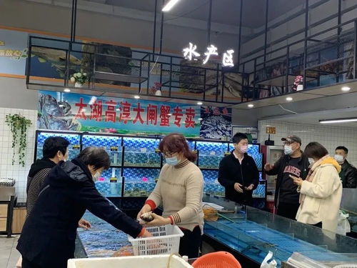 就地过年，淘菜猫助力“菜篮子”供应不断档，新鲜蔬菜直达零售终端